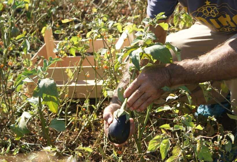 호텔 Masseria Chiancone Torricella