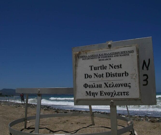 Natura Beach Hotel And Villas