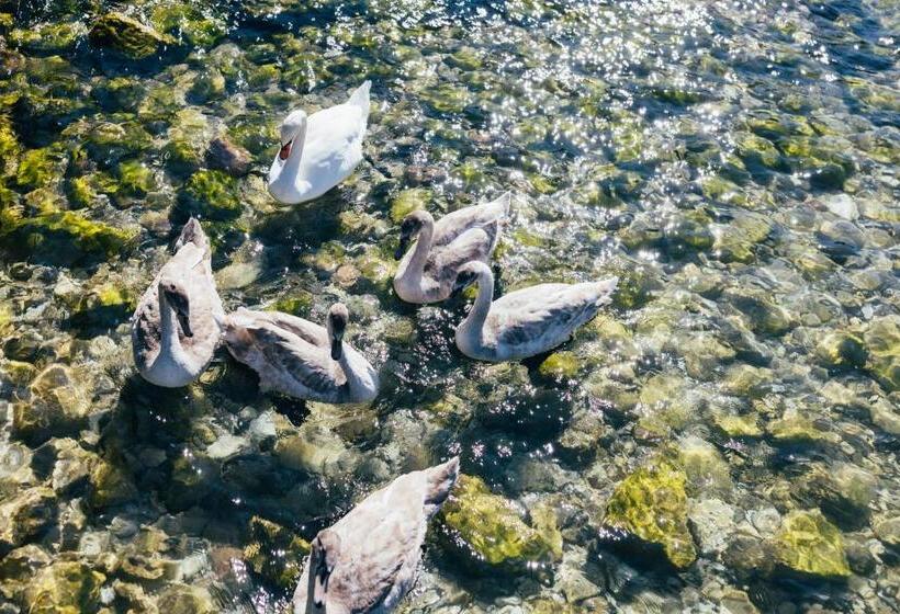 호텔 Orione Lake Front