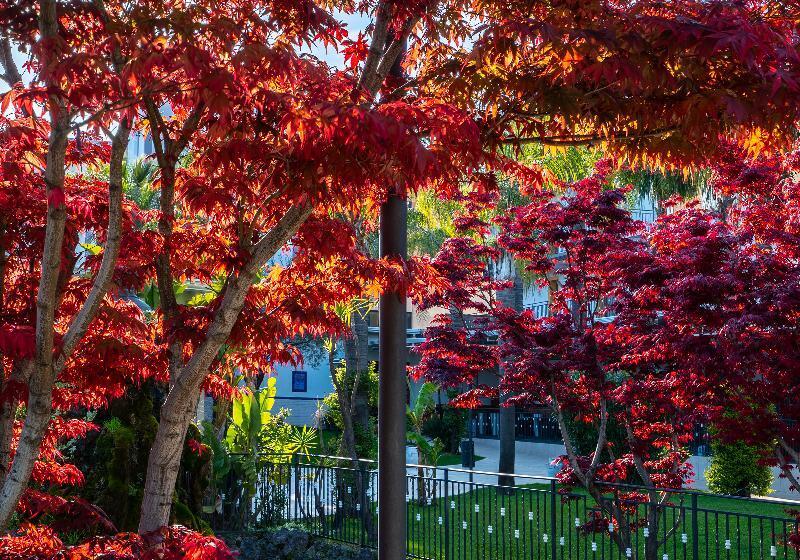 בית מלון כפרי San Luca