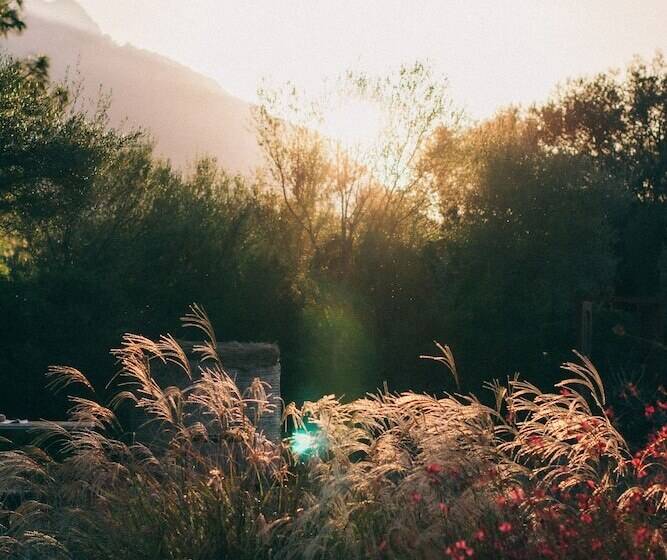 בית מלון כפרי Su Gologone Experience