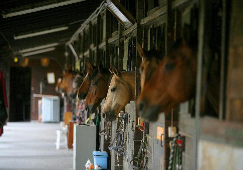 فندق Tenuta Il Burchio