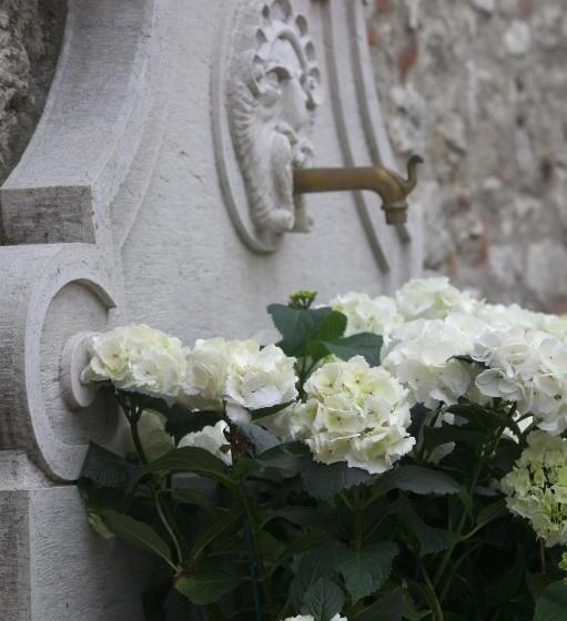 فندق Villa Fenaroli Palace