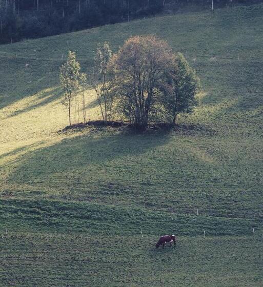 Wellness Refugium & Resort Hotel Alpin Royal   Small Luxury Hotels Of The World