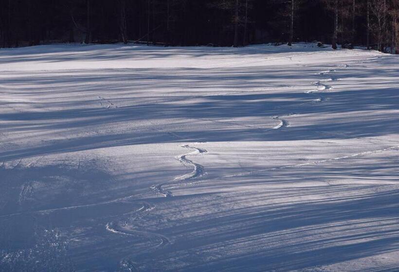 Wellness Refugium & Resort Hotel Alpin Royal   Small Luxury Hotels Of The World