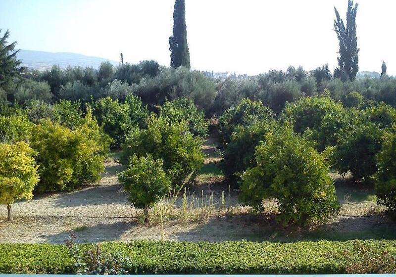 Natura Beach Hotel And Villas