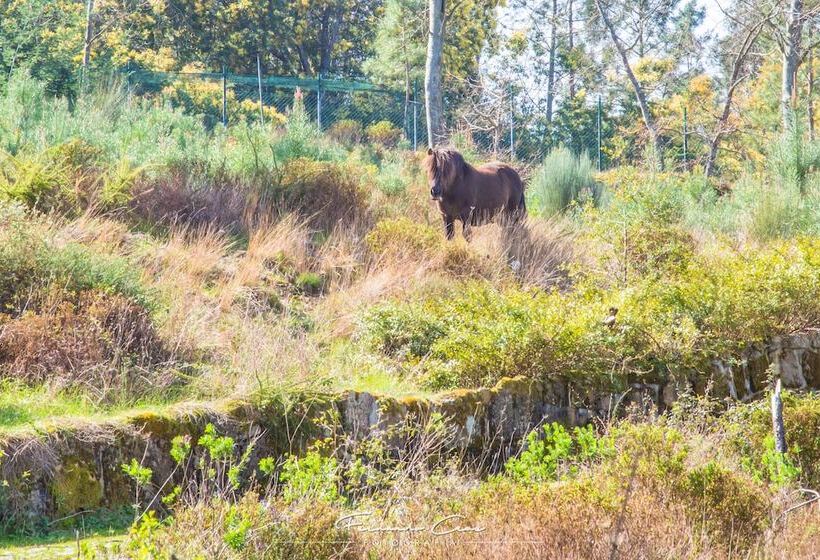 Pantanha Nature & Fitness