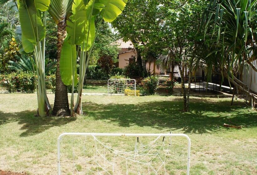 Plaza Real Resort