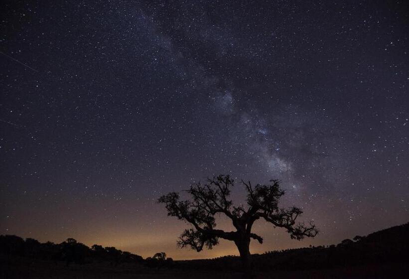 Alentejo Star Hotel Sao Domingos Mertola Duna Parque Resorts & Hotels