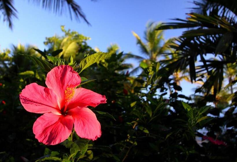 Canto D Alvorada Hotel Pousada