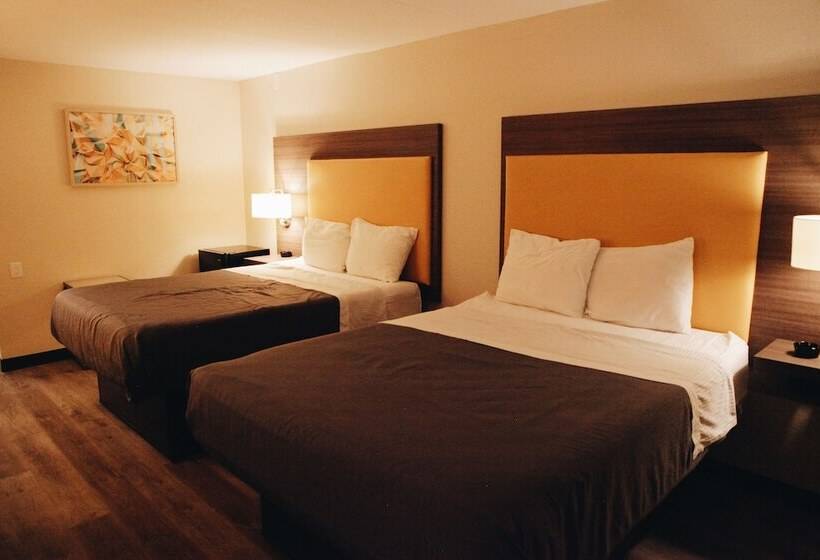 호텔 All Seasons Inn & Suites