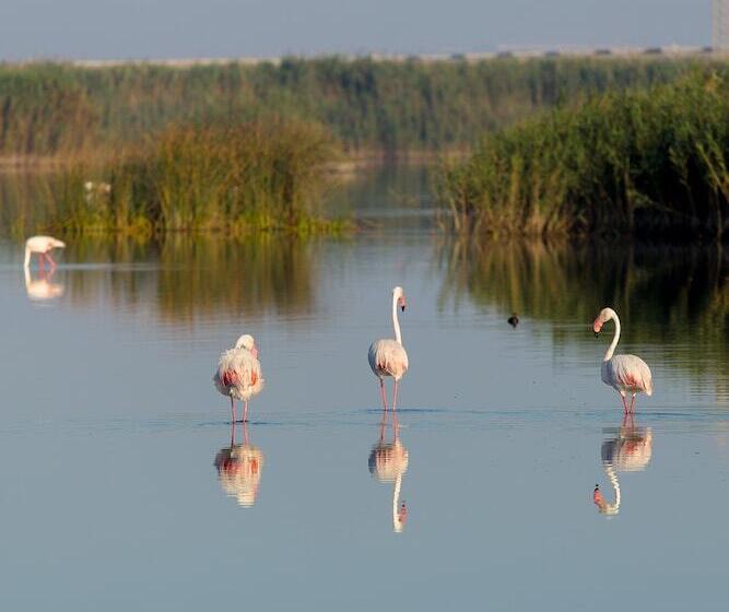 ホテル Ar Golf Almerimar