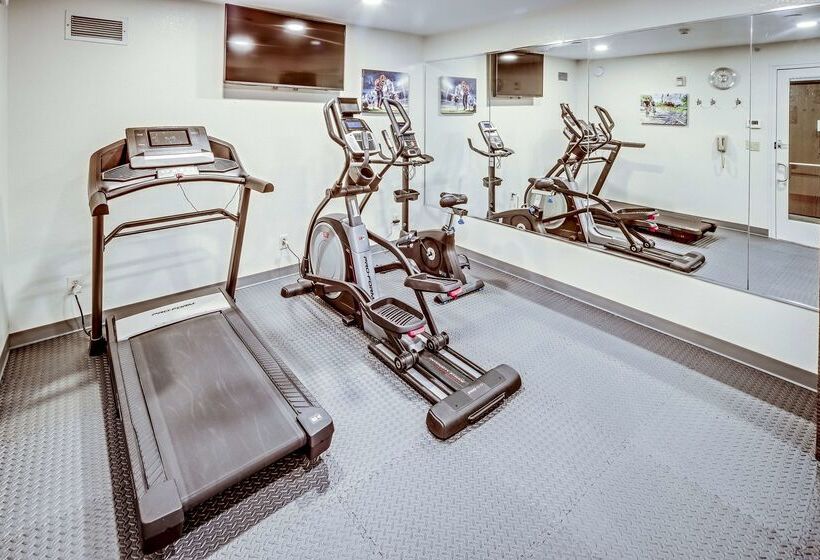 בית מלון כפרי Best Western Port Columbus