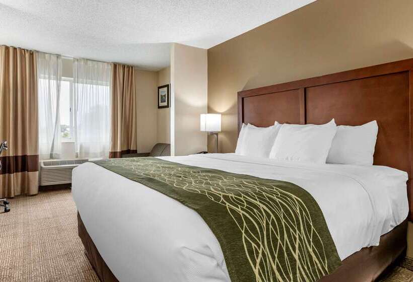 בית מלון כפרי Comfort Inn & Suites Dimondale   Lansing