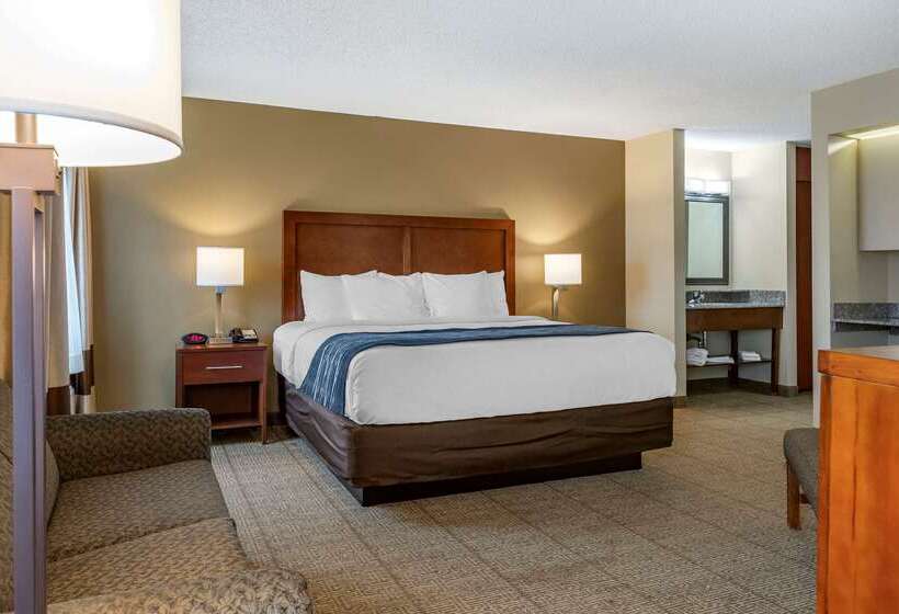 בית מלון כפרי Comfort Inn & Suites Dimondale   Lansing