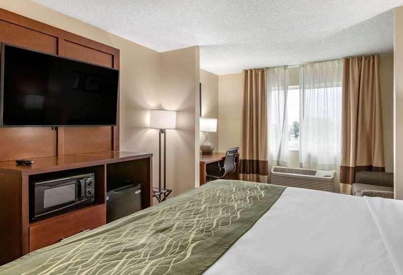 בית מלון כפרי Comfort Inn & Suites Dimondale   Lansing