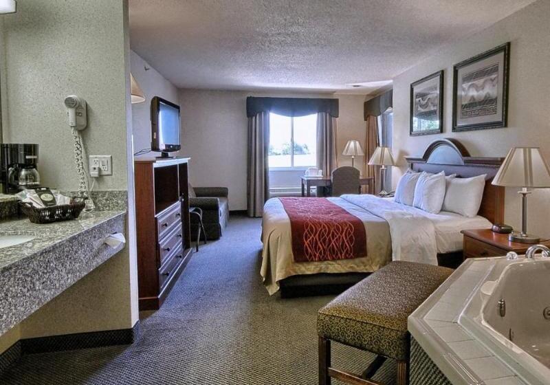 בית מלון כפרי Comfort Inn & Suites Dimondale   Lansing