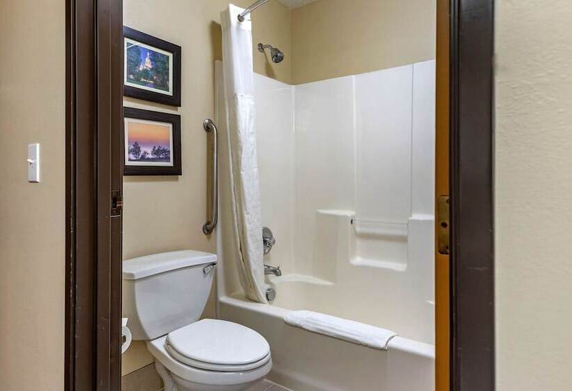 בית מלון כפרי Comfort Inn & Suites Dimondale   Lansing