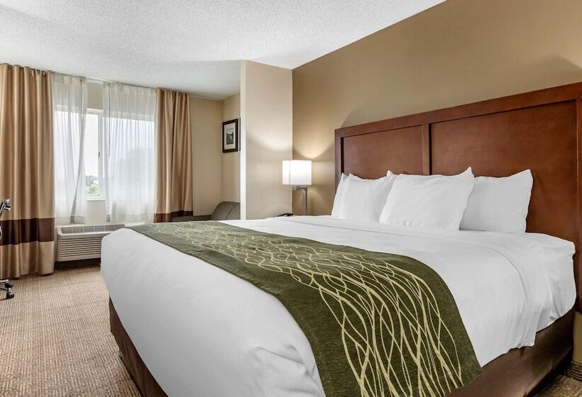 בית מלון כפרי Comfort Inn & Suites Dimondale   Lansing