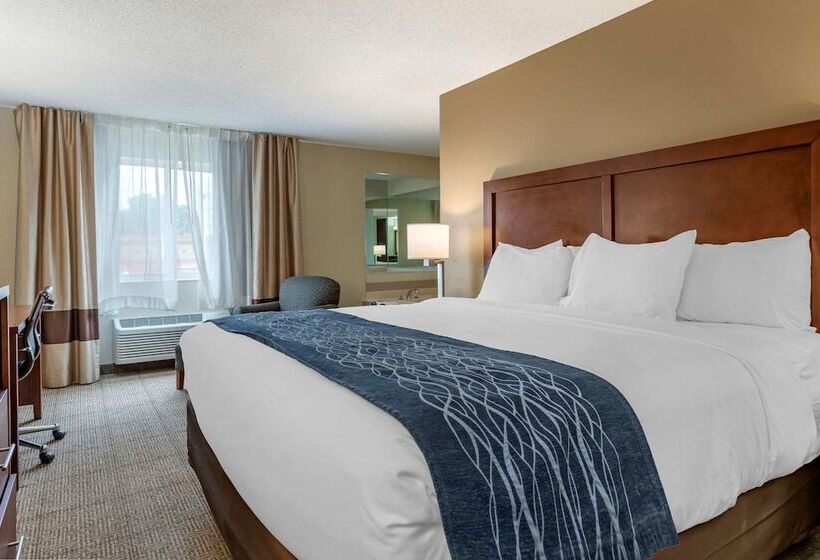 בית מלון כפרי Comfort Inn & Suites Dimondale   Lansing