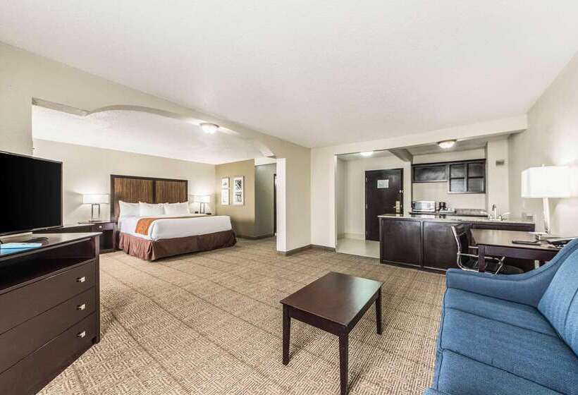 فندق Comfort Inn Dallas Park Central