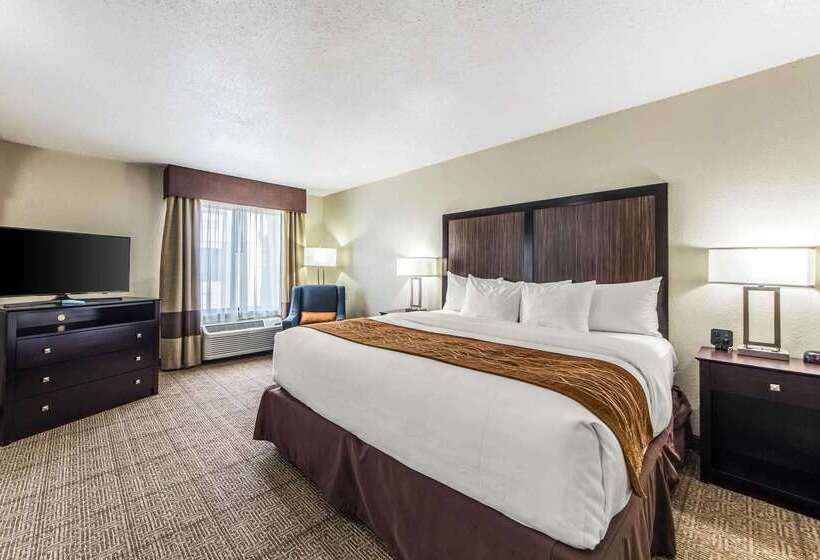 فندق Comfort Inn Dallas Park Central