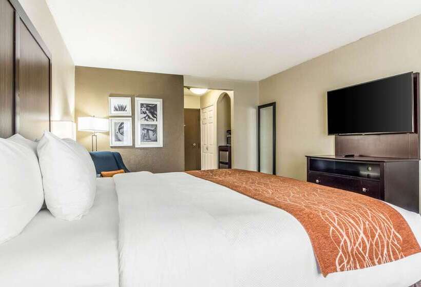فندق Comfort Inn Dallas Park Central
