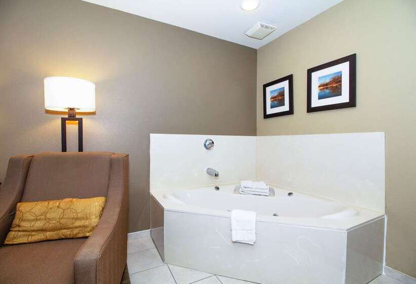 هتل Comfort Inn & Suites East Moline Near I 80