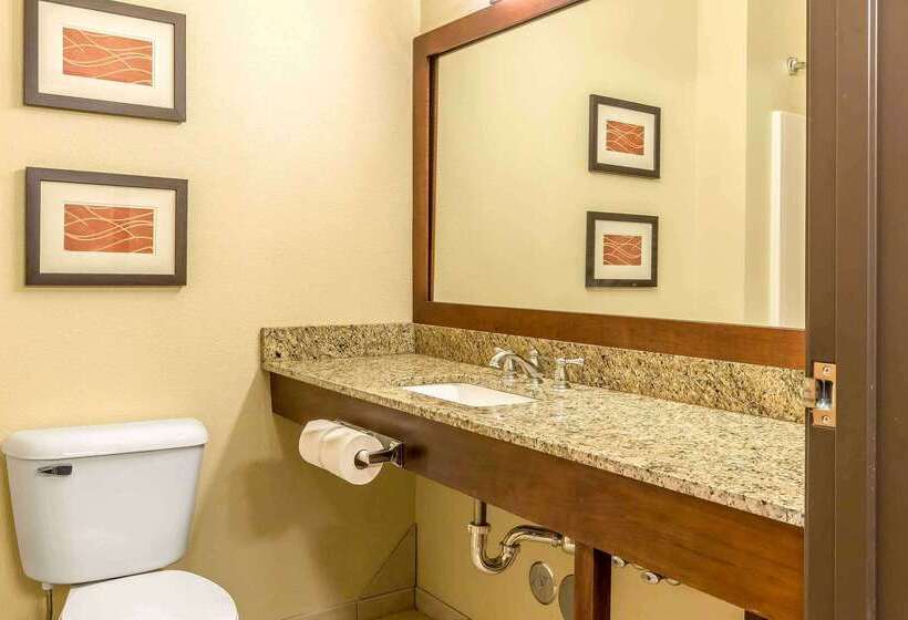 Отель Comfort Inn & Suites East Moline Near I 80