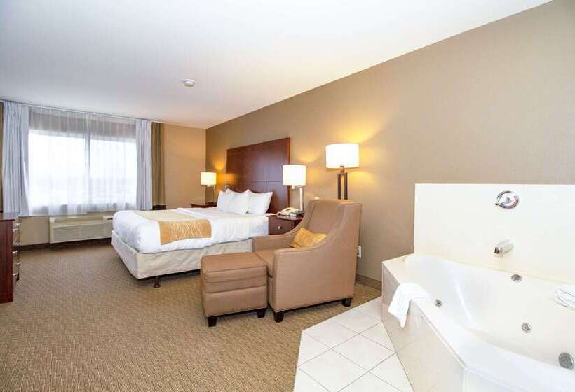 Отель Comfort Inn & Suites East Moline Near I 80