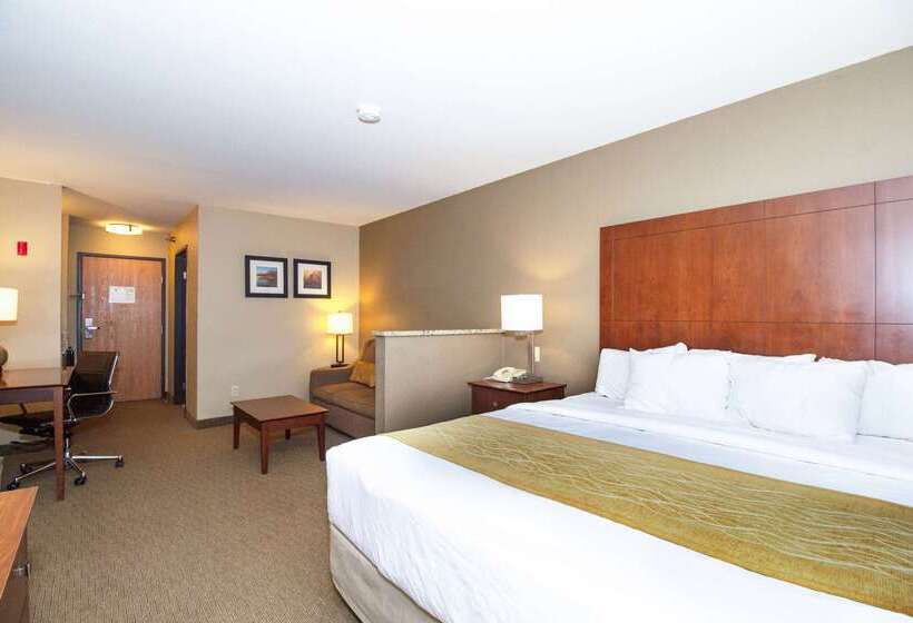 هتل Comfort Inn & Suites East Moline Near I 80