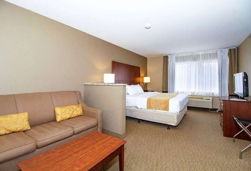 Отель Comfort Inn & Suites East Moline Near I 80