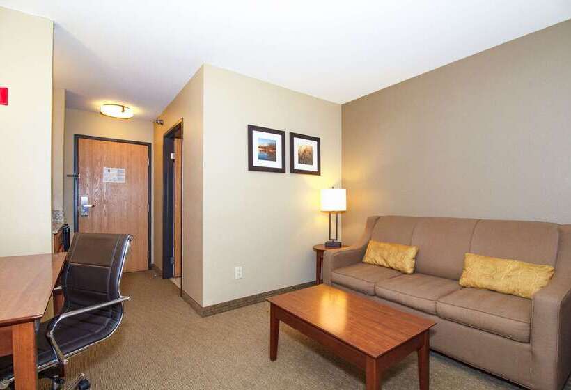 Отель Comfort Inn & Suites East Moline Near I 80