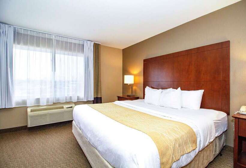 Отель Comfort Inn & Suites East Moline Near I 80