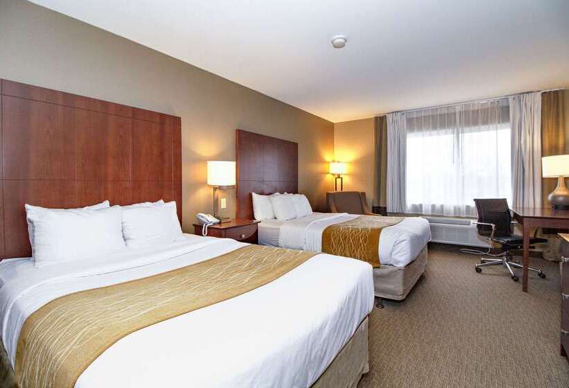 Отель Comfort Inn & Suites East Moline Near I 80