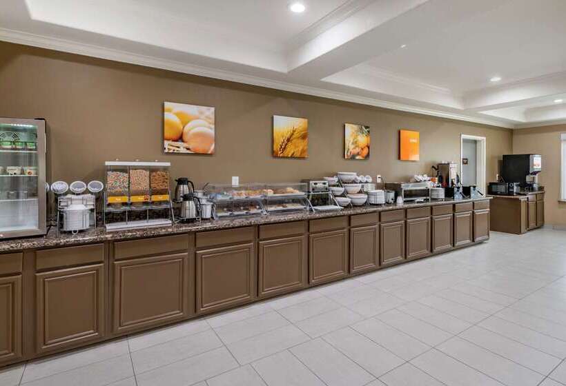 فندق Comfort Inn & Suites