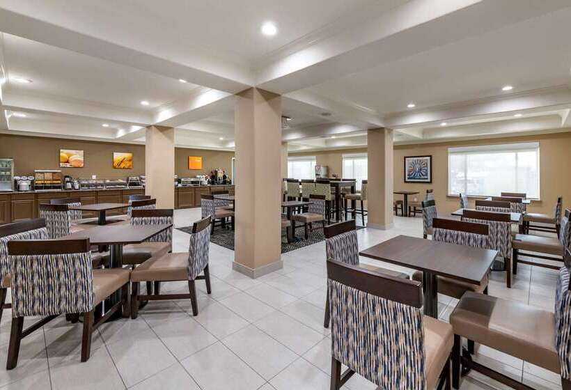 فندق Comfort Inn & Suites