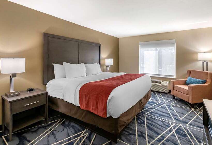 فندق Comfort Inn & Suites