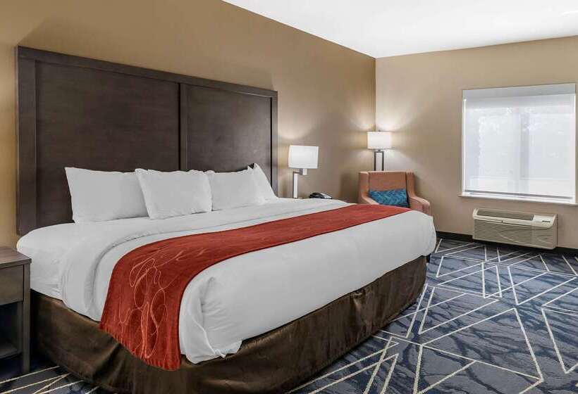 فندق Comfort Inn & Suites