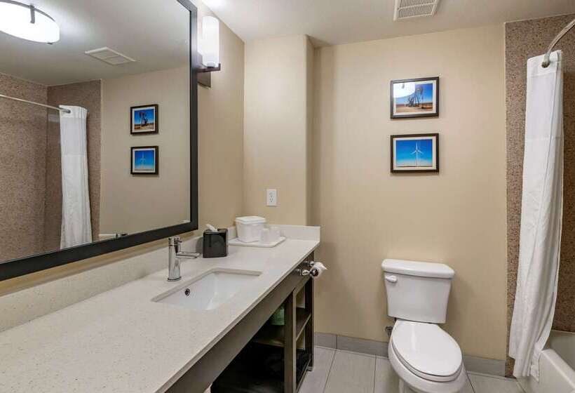 فندق Comfort Inn & Suites