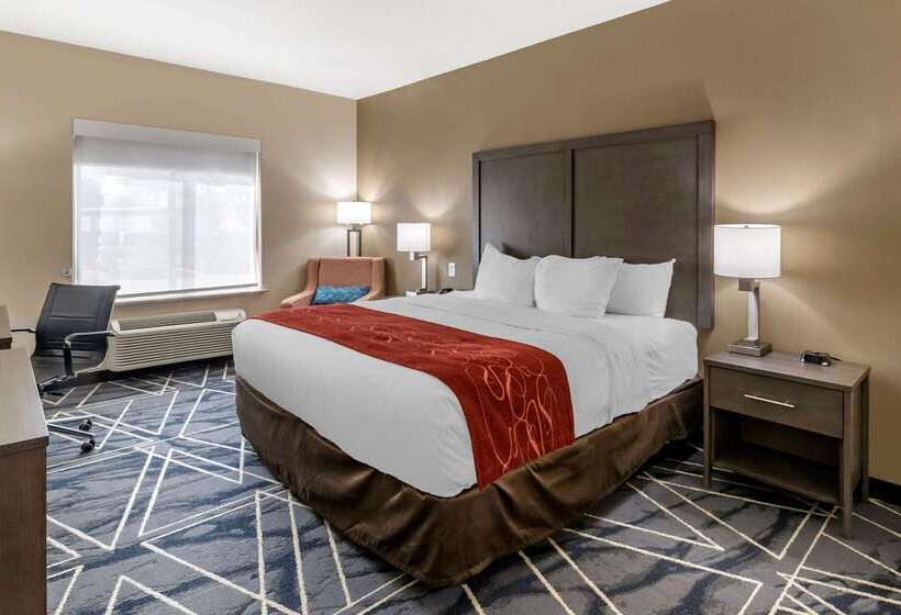 فندق Comfort Inn & Suites