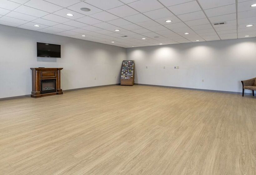 ホテル Comfort Inn & Suites