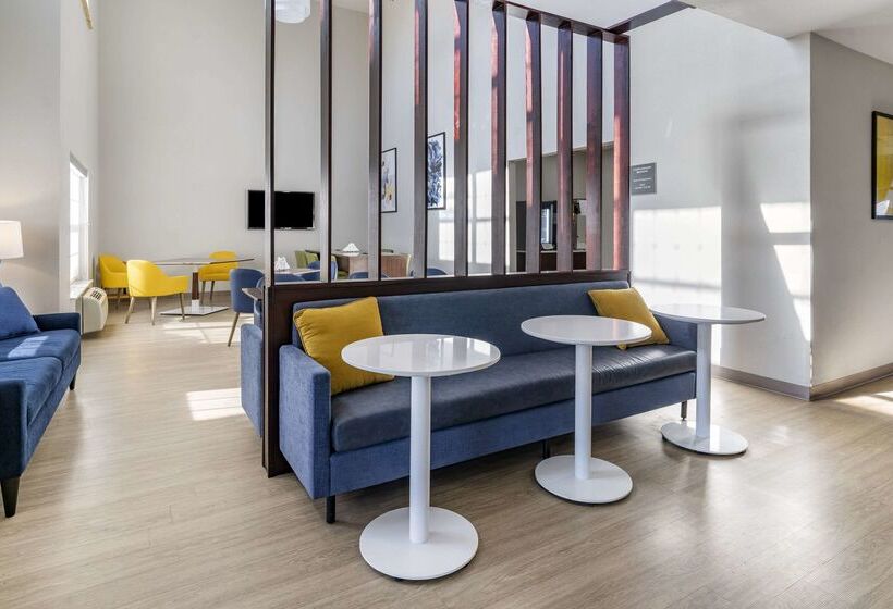 ホテル Comfort Inn & Suites