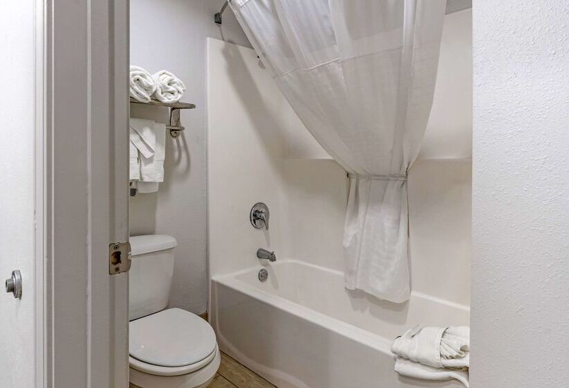 ホテル Comfort Inn & Suites