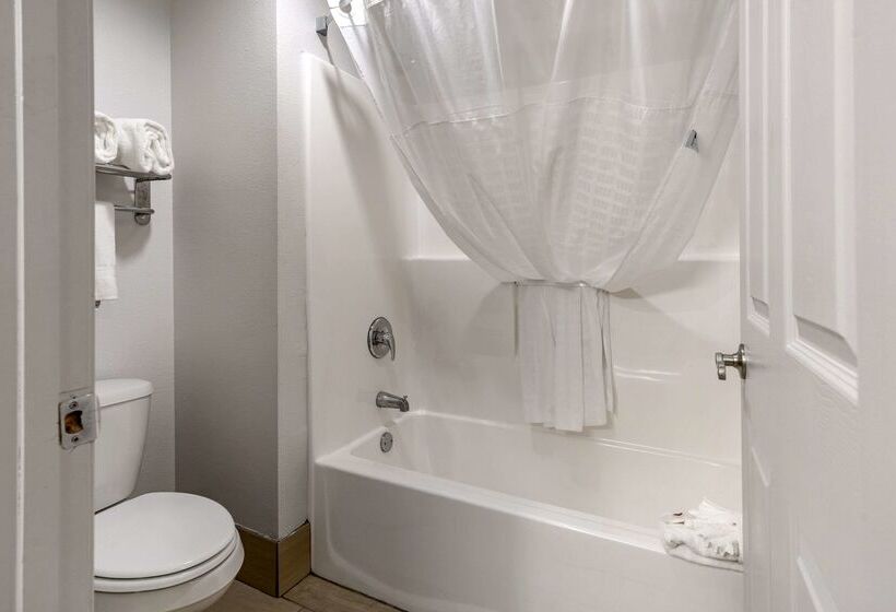 ホテル Comfort Inn & Suites