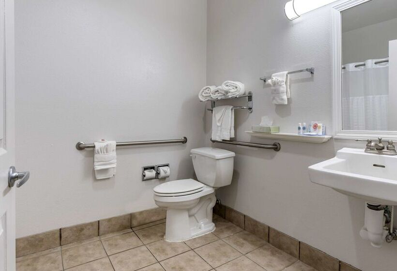 ホテル Comfort Inn & Suites