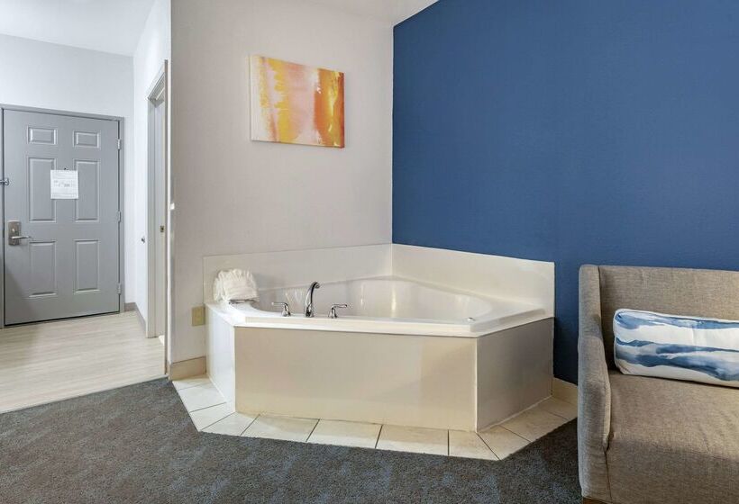 ホテル Comfort Inn & Suites