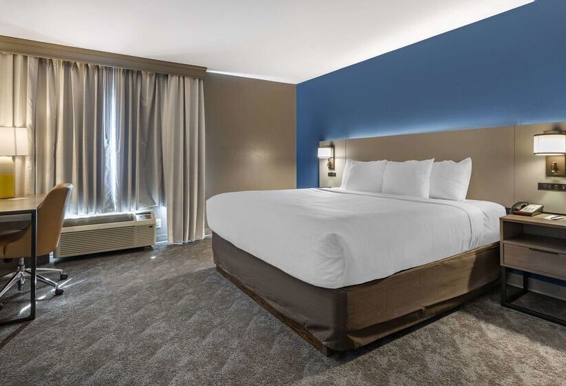 ホテル Comfort Inn & Suites