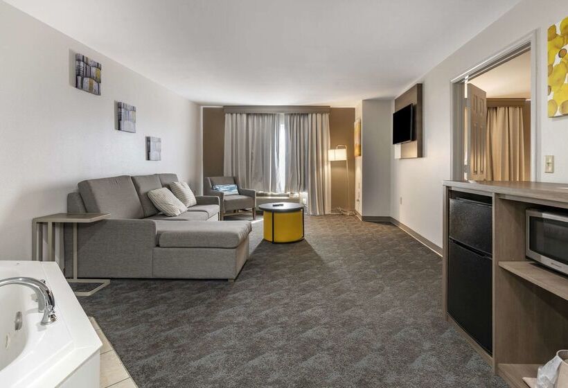 ホテル Comfort Inn & Suites