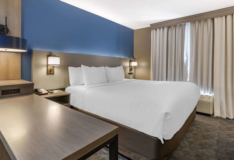 ホテル Comfort Inn & Suites